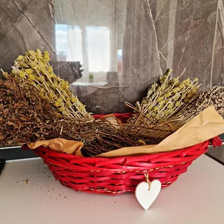 Apartment Lovely One Bedroom In Tirana