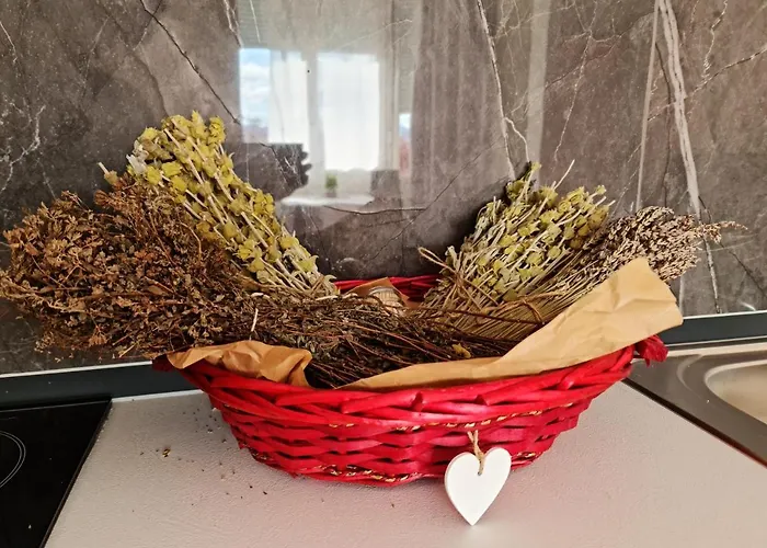 公寓 Lovely One Bedroom In 地拉那