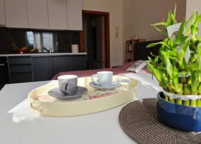 Lovely One Bedroom In 公寓 *